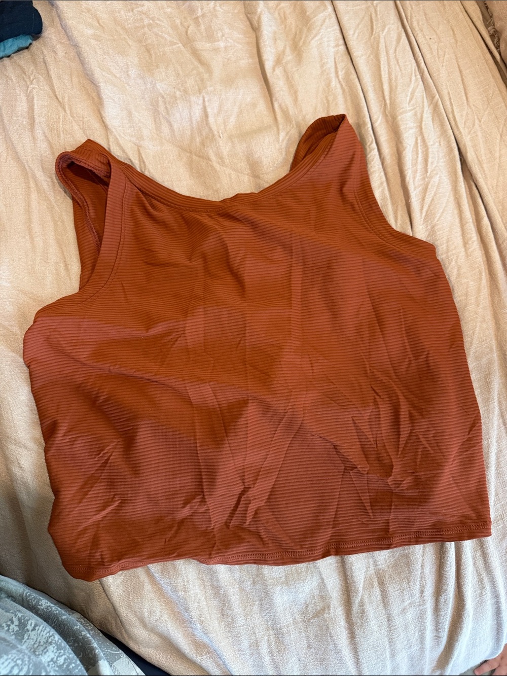 CALIA by Carrie Underwood Burnt Orange Ribbed Crop Tank
